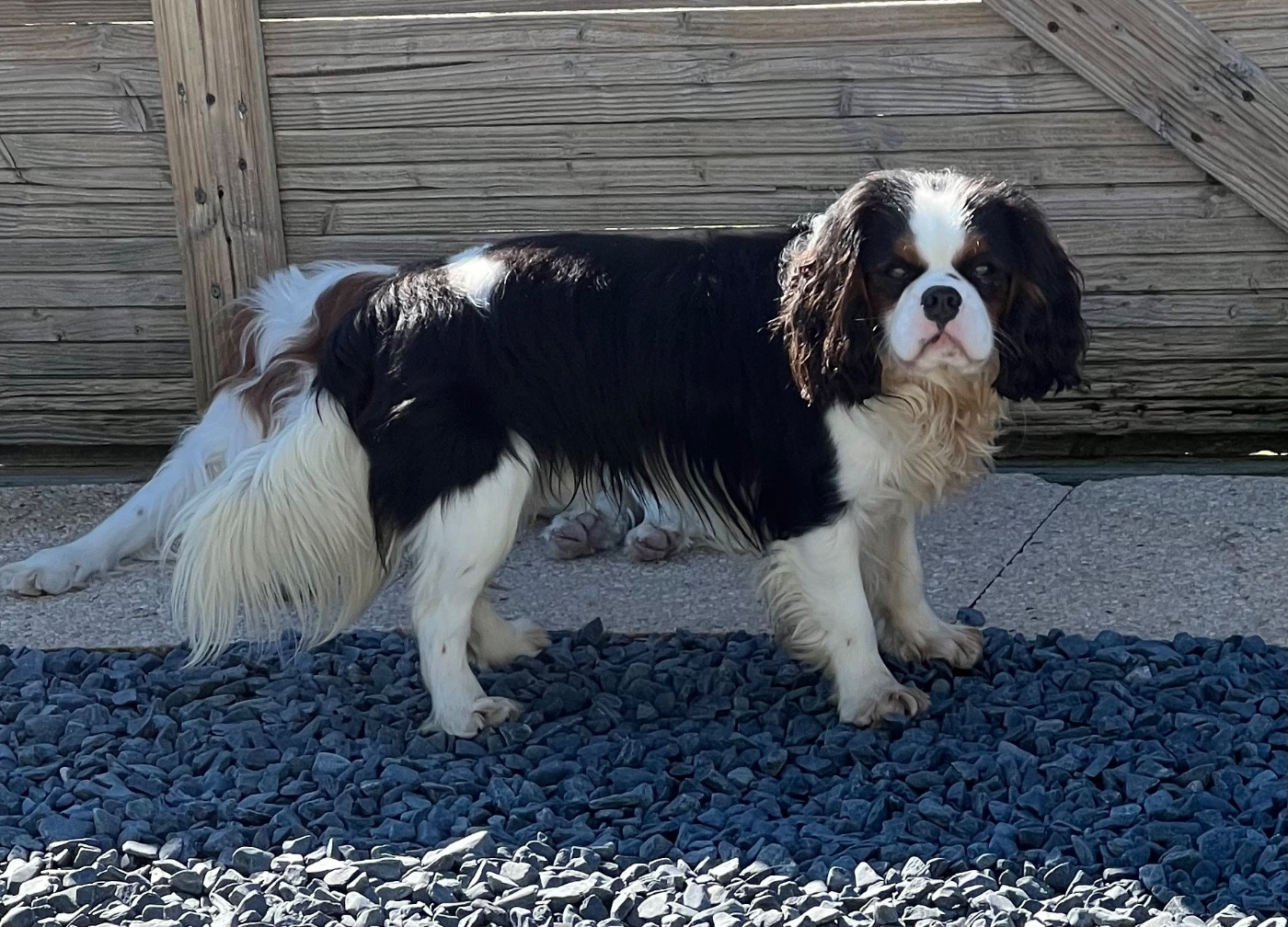 Vauban De La Vallée Du Montois